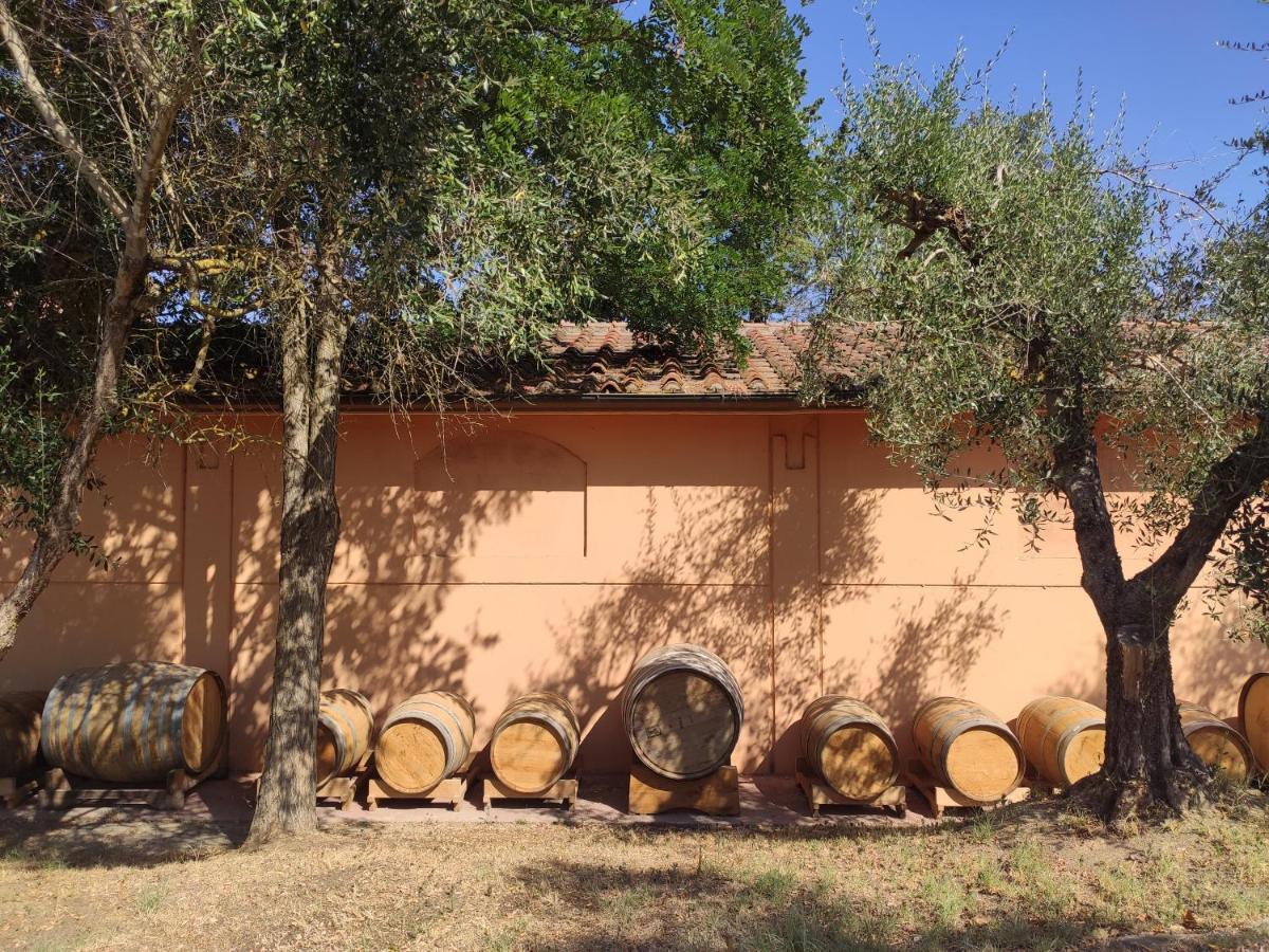 Podere Borgaruccio Peccioli Eksteriør billede