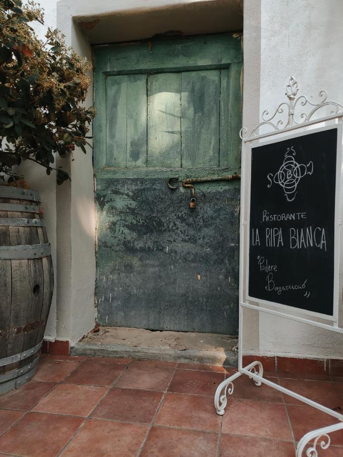 Podere Borgaruccio Peccioli Eksteriør billede