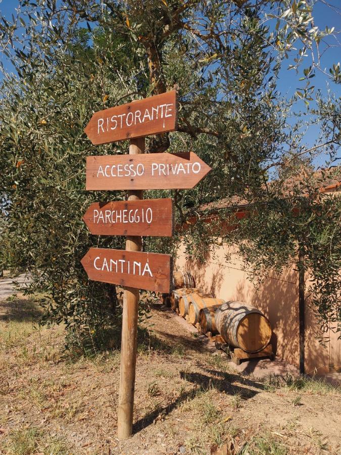 Podere Borgaruccio Peccioli Eksteriør billede