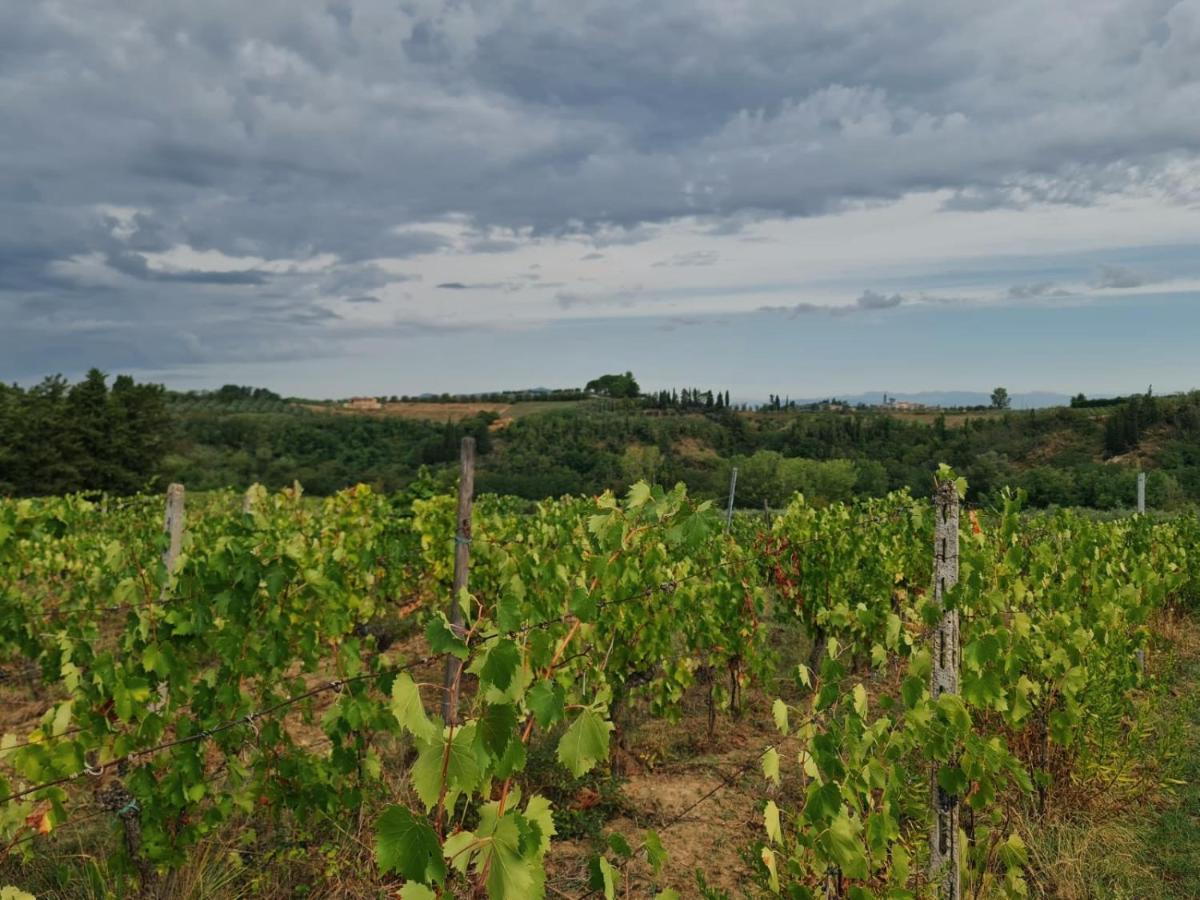 Podere Borgaruccio Peccioli Eksteriør billede