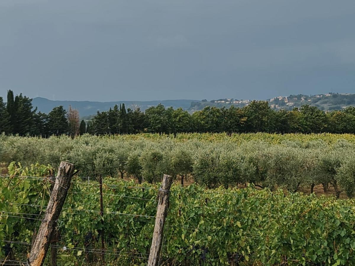 Podere Borgaruccio Peccioli Eksteriør billede
