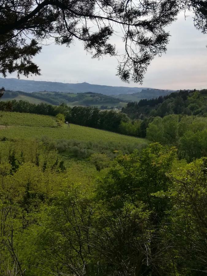 Podere Borgaruccio Peccioli Eksteriør billede